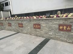 -上海佘山国家森林公园西佘山园