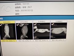 -爱侣宠医·鹦鹉专科·小型哺乳类·异宠专科(灵石路店)