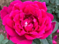 -人民公园(罗湖区)