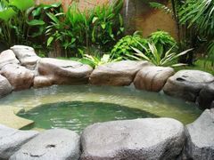 -国信南山温泉