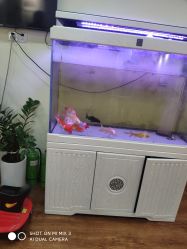 点击看大图 -熊孩子韩国儿童摄影(利波苑店)