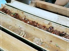 -胡须哥网红竹筒菜