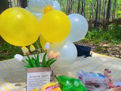 -上海共青森林公园