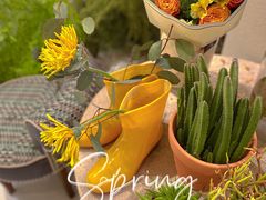 -PlantsEatery·植物食堂(REX春熙店)