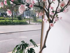 -桃梨花香(柳工颐华城店)