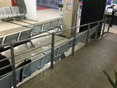 -上海大学附属上海和平眼科医院