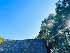 -河姆渡遗址博物馆