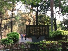 -宋井风景区