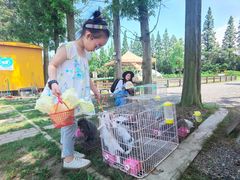 -前小桔亲子创意农场·草莓采摘·露营烧烤