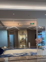 -深圳米兰柏羽医疗美容医院