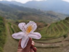 -龙脊梯田
