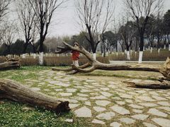 -洨河生态公园