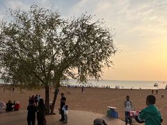 -红碱淖景区