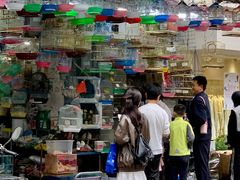 -溪岸路花鸟市场