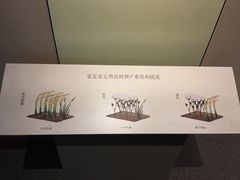 -嘉定博物馆