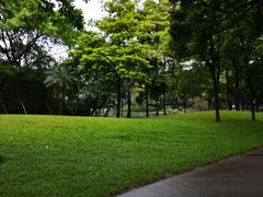 -晓港公园