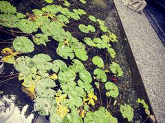 -苏州本色美术馆