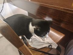 -原田新料理(1912店)