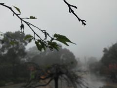 -南山植物园