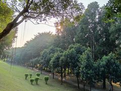 -福建鲤鱼洲酒店