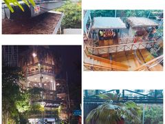 -Rainforest