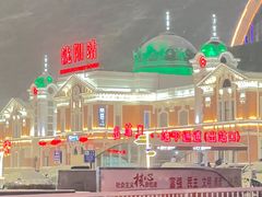 -沈阳站