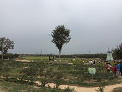 -武汉紫薇都市田园