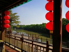 -大湾区中央湿地公园