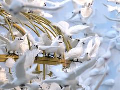 -上海宝龙美术馆