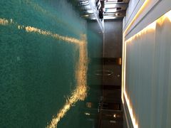 金茂凯悦酒店-上海崇明金茂凯悦酒店