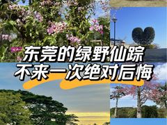 -东莞植物园