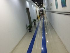 -奥林匹克体育中心游泳跳水中心