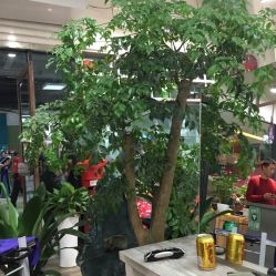 -木北护肤造型