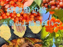 -桃源山庄·水蜜桃采摘·柴火鸡·烧烤团建(龙泉山店)