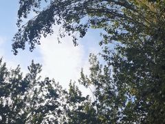 -朝阳公园