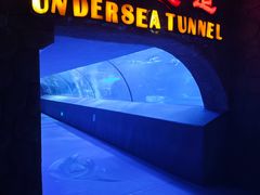 -太平洋海底世界