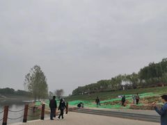 -洨河生态公园