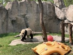 -上海野生动物园