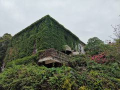 -八婆婆烧仙草(曾厝垵店)