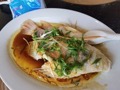 -鹅公村食府(罗阳分店)