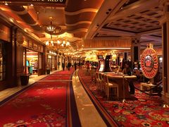 -拉斯维加斯永利酒店