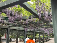 -北京市劳动人民文化宫(太庙)