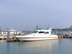-日照海滨国家森林公园