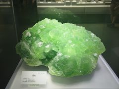 -湖南省地质博物馆