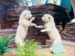 -陕西自然博物馆