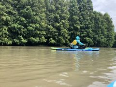 -上海海湾国家森林公园