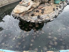 -八景休閒山莊  廣東十大名山莊