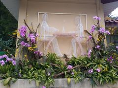 -深圳仙湖植物园