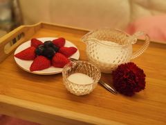 -爱月宝月嫂·育儿嫂(哈尔滨总店)