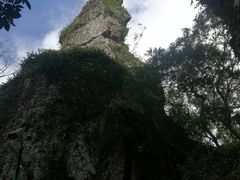 -七仙岭温泉国家森林公园